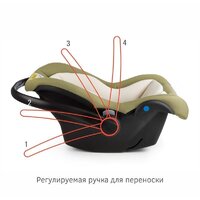 Siger Дафни (оливковый) Image #5