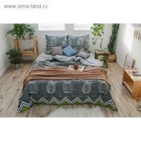 Этель Ушастые совы 3988358 Image #10