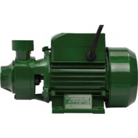 Oasis P-550V Image #2