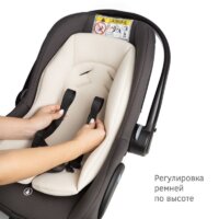 Siger Дафни (маренго) Image #3