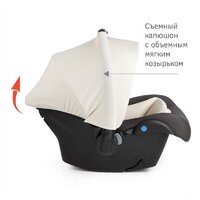 Siger Дафни (маренго) Image #2
