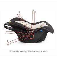 Siger Дафни (маренго) Image #5
