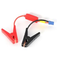 Patriot Magnum 8 Image #4