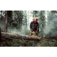 DeWalt DCM575N-XJ (без АКБ) Image #3