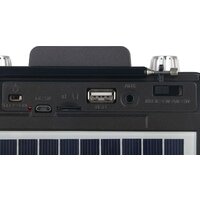 Soundmax SM-RD2114UB Image #5