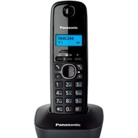 Panasonic KX-TG1611UAH Image #2