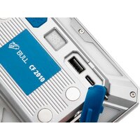 Bull CF 2010 Image #4