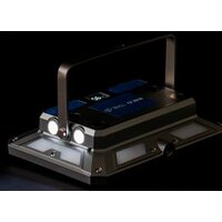 Bull CF 2010 Image #10