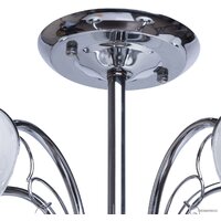 De City Грация 677010705 Image #10