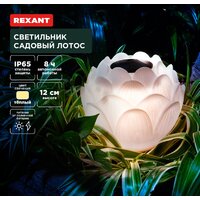 Rexant Лотос 602-2431