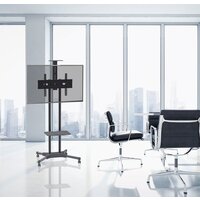 Arm Media PT-STAND-12 Image #2