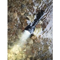 Armytek Viking Pro Magnet USB (теплый свет) Image #4