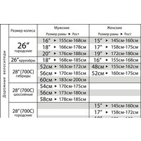 Stinger Gravix Evo 56см 2023 Image #2