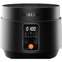 Garlyn MR-Solo 3 Image #2