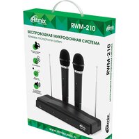 Ritmix RWM-210 Image #2