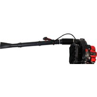 Verton BW-4/80 Image #9