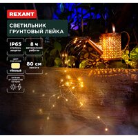 Rexant Лейка 602-2405