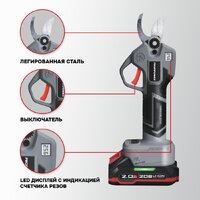 Profipower ProfiSet-2G20 E0217 (цепная пила, секатор, 2 АКБ) Image #4