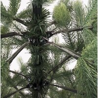 Золотая сказка Premium 591310 1.5 м Image #3