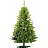 Morozco Таежная 2.1 м