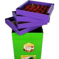 УЗБИ Сухофрукт В02 Image #2