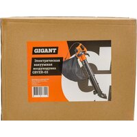 Gigant GBVER-03 Image #19