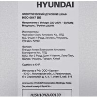 Hyundai HEO 6647 BG Image #12