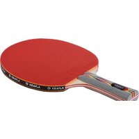 Ракетки, мячи и аксессуары для настольного тенниса