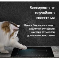 MAUNFELD CVI292S2BWH Inverter Image #11