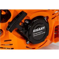 Gigant LU-06 Image #11