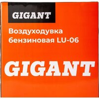 Gigant LU-06 Image #18
