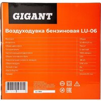 Gigant LU-06 Image #20