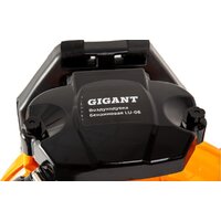 Gigant LU-06 Image #7