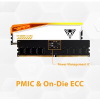 Patriot Viper Elite 5 RGB TUF Gaming Alliance 2x24ГБ DDR5 6600 МГц PVER548G66C34KT Image #11