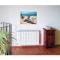 Global Style Extra 500 (10 секций) Image #3