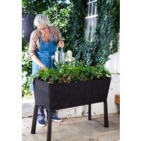 Keter Easy Grow на ножках (графит) Image #2