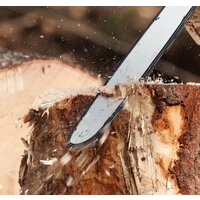 Oasis GS-17 Image #4