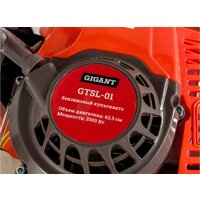 Gigant GTSL-01 Image #16