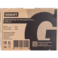 Gigant GTSL-01 Image #26