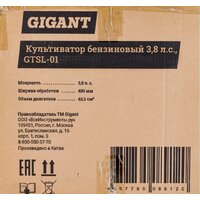 Gigant GTSL-01 Image #27