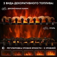 Planta PFP-FS400 (черный) Image #3