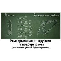 Stark Cobra 29.2 HD р.18 2024 (бронзовый/черный) Image #2