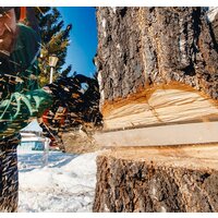 Oasis GS-16 Image #4