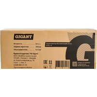 Gigant GTSL-10 Image #25