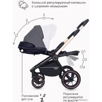 Rant MOWbaby Zoom PU (2 в 1, gold black) Image #19