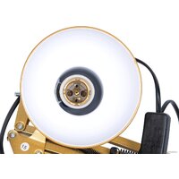 Uniel TLI-221 UL-00011103 (золото) Image #5