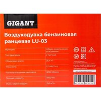Gigant LU-03 Image #19