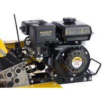 Denzel DPT-170 56401 Image #16