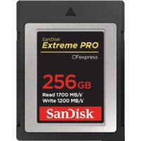 SanDisk Extreme Pro CFexpress Type B SDCFE-256G-GN4NN 256GB