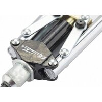 Sparta 405385 Image #2